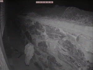 Caméra IP - Corée du Sud