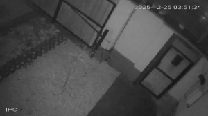 Caméra IP - Hungary