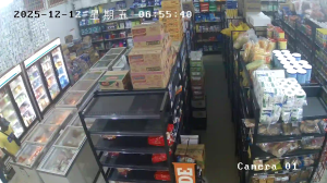 Caméra IP - Suriname