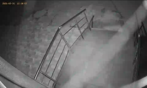 Caméra IP - Bulgaria