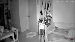 Caméra IP - Hong Kong