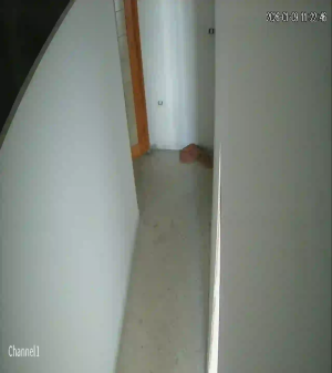 Caméra IP - Tunesien