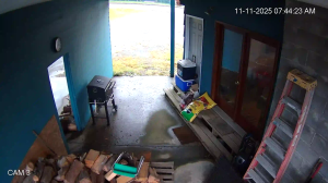 Caméra IP - United States of America