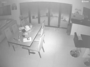 Caméra IP - United Kingdom