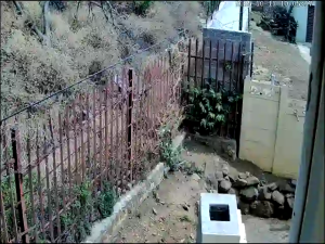 Caméra IP - Südafrika