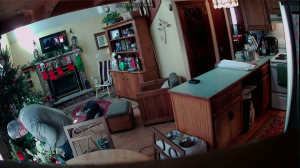 Caméra IP - United States of America