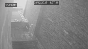 Caméra IP - Belgium