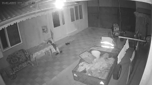 Caméra IP - Moldavia