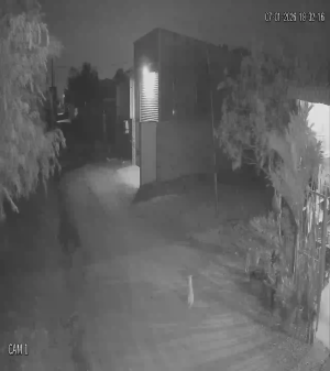 Caméra IP - Vietnam