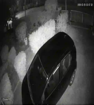 Caméra IP - Curaçao