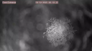 Caméra IP - United Kingdom