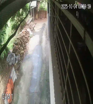 Caméra IP - Vietnam