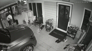 Caméra IP - Malaisie