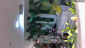 Caméra IP - Alemania