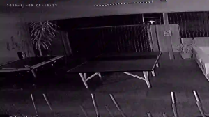 Caméra IP - Dänemark