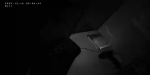 Caméra IP - Russische Föderation