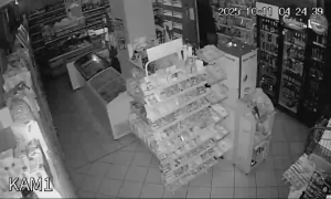 Caméra IP - Polen