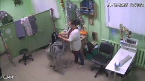 Caméra IP - Belarus