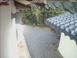 Caméra IP - South Korea