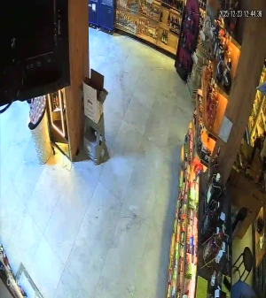 Caméra IP - Türkei