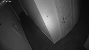 Caméra IP - República Checa