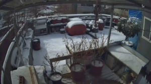 Caméra IP - Corée du Sud