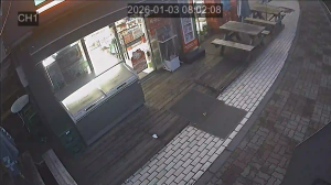 Caméra IP - South Korea