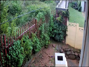 Caméra IP - South Africa