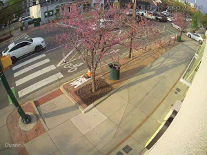 Caméra IP - États-Unis d'Amérique