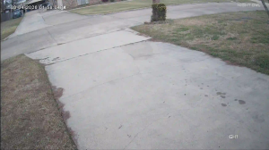 Caméra IP - United States of America