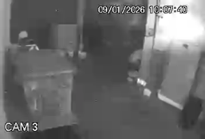 Caméra IP - Brésil