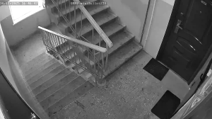 Caméra IP - Russian Federation