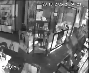 Caméra IP - Francia