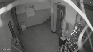 Caméra IP - Serbien