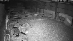 Caméra IP - Espagne