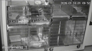 Caméra IP - Portugal