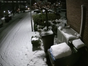 Caméra IP - Paesi Bassi