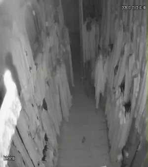 Caméra IP - Tunisie