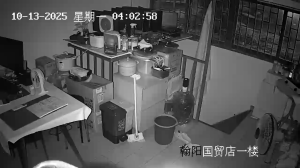 Caméra IP - Chine