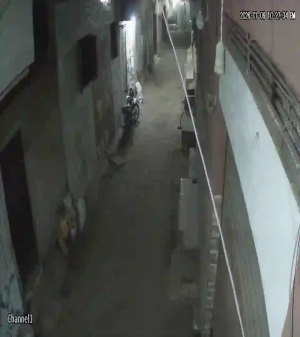 Caméra IP - Égypte