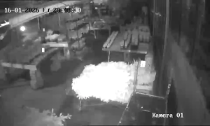 Caméra IP - Germany