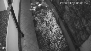 Caméra IP - Moldova, Republic of