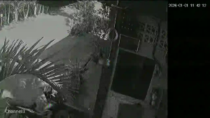 Caméra IP - Thailand