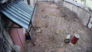 Caméra IP - Russian Federation