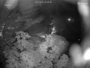 Caméra IP - United States of America