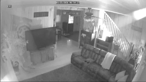 Caméra IP - United States of America