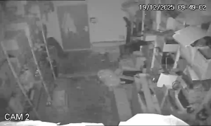 Caméra IP - Israël