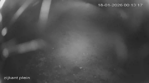 Caméra IP - Netherlands