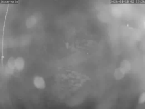 Caméra IP - Germany