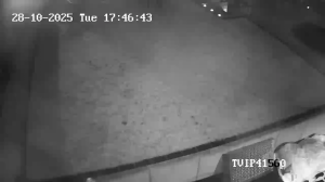 Caméra IP - Germania